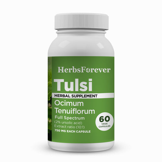 Tulsi Capsules – Ocimum Sanctum - 2% ursolic acid - Extract Ratio 10:1 - 60 Vege Capsules - 750 mg each