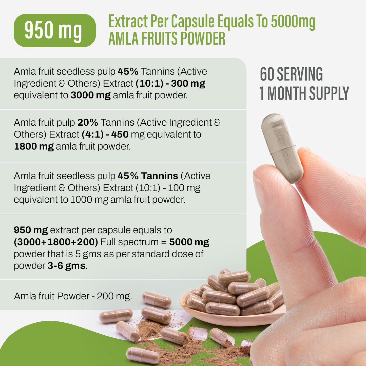 Amla Capsules - Embelica Officinalis - 45% Tannins - Extract Ratio 10:1 - 60 Vege Capsules - 950 mg each