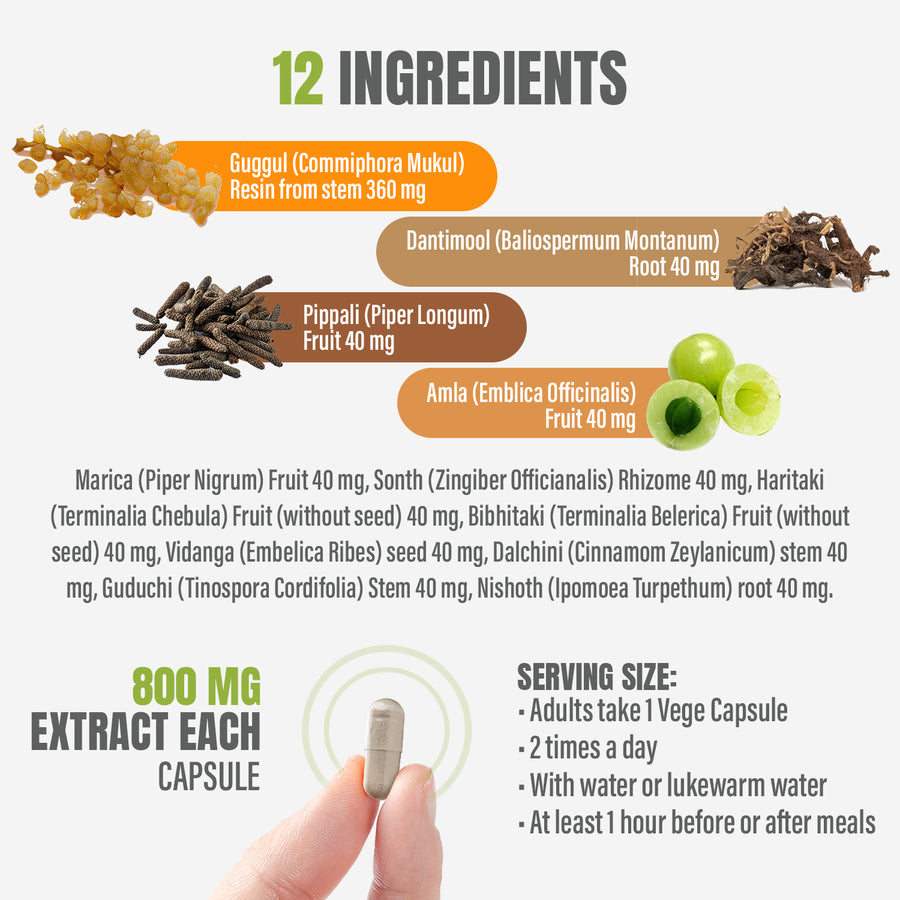 Amritadi Guggulu Capsule - Ayurvedic Herbal Supplement - 90 Vege Capsules - 800 mg
