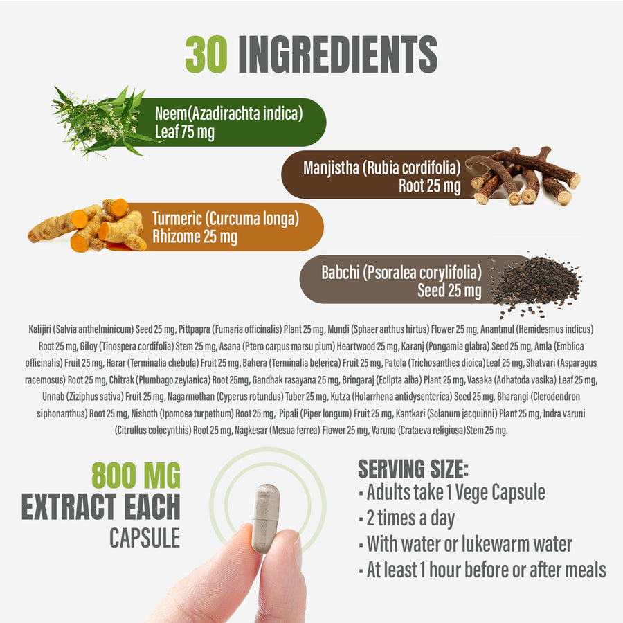 Blood Cleaner - Ayurvedic Herbal Supplement – 90 Vege Capsules – 800 Mg Each