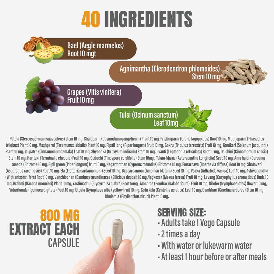 Chywanprash Capsules - Ayurvedic Herbal Supplement – 90 Vege Capsules – 800 Mg Each