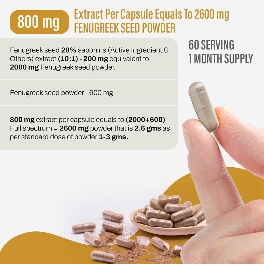 Fenugreek Capsules (Trigonellafoenum Graecum) - 20% Saponins - Extract Ratio 10:1 - 60 Vege Capsules - 800 mg each