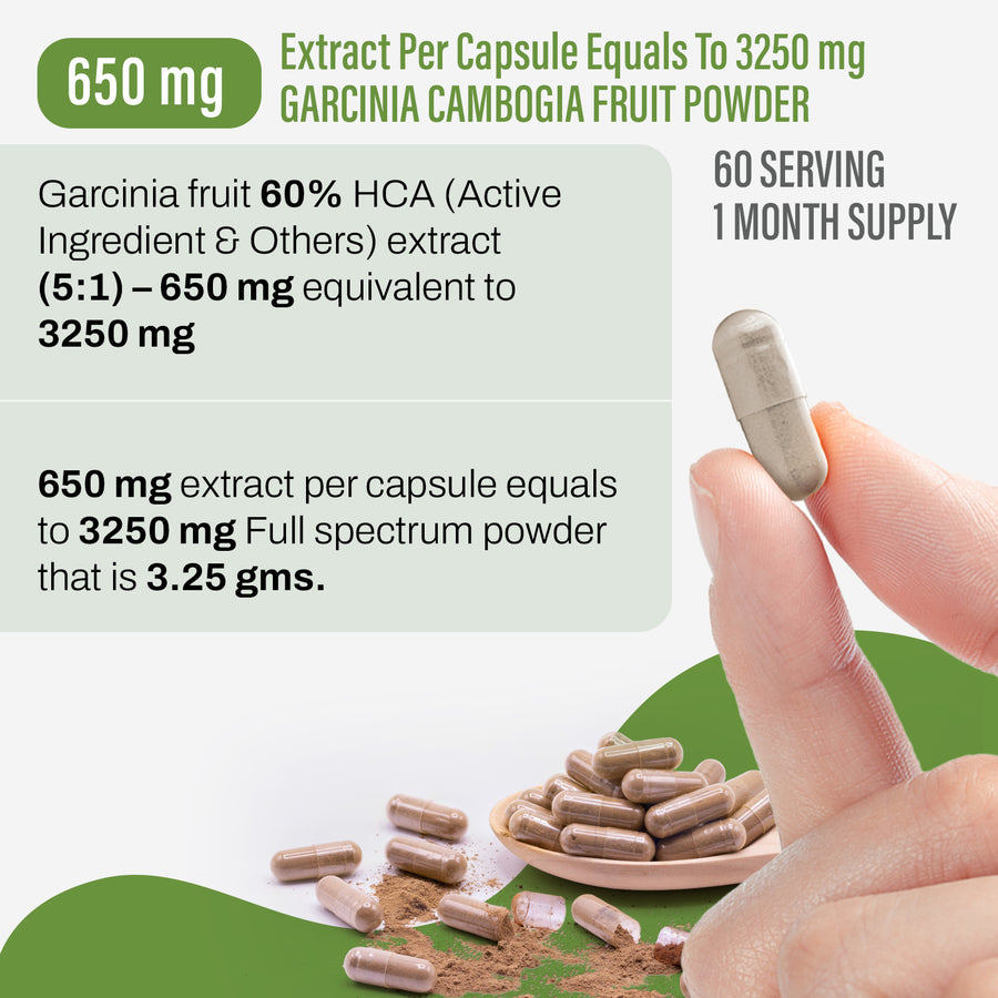 Garcinia Capsules - Garcinia cambogia - 60% HCA - Extract Ratio 5:1 - 90 Vege Capsules - 650 mg each