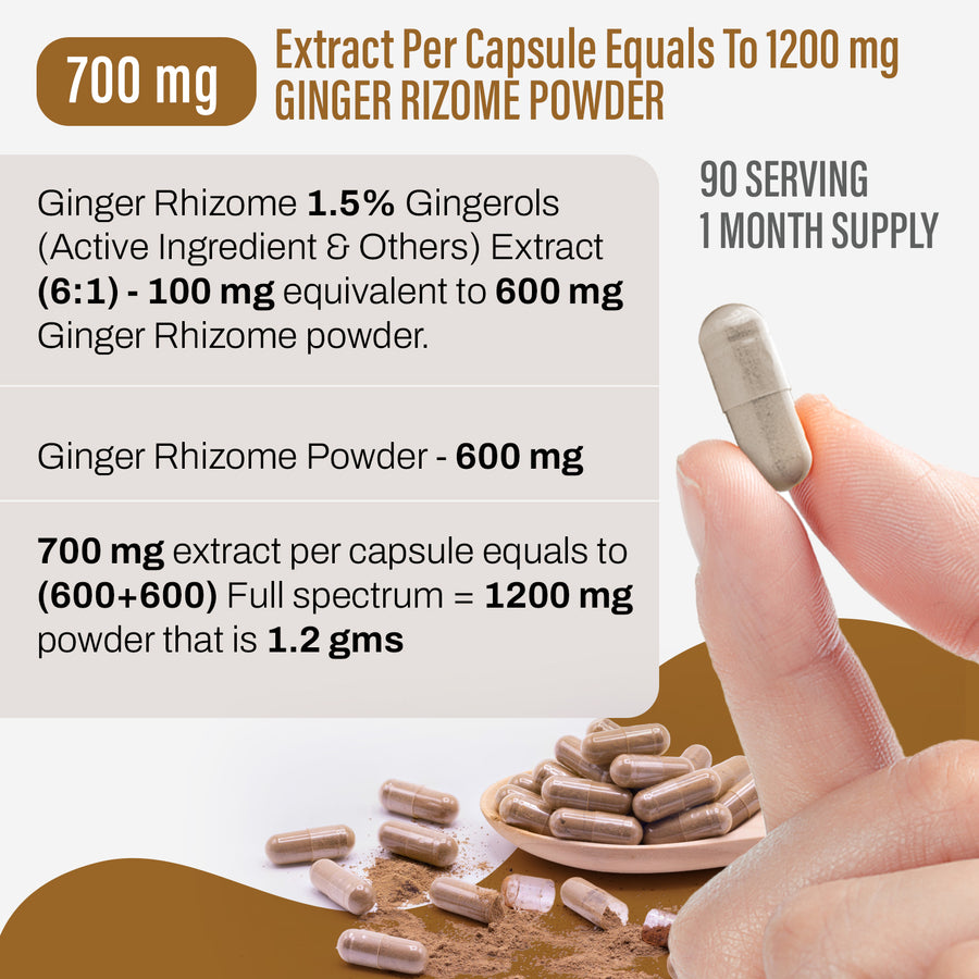 Ginger Capsules - ZingiberOfficinale - 1.5% Gingerols - Extract Ratio 6:1 - 90 Vege Capsules - 700 mg each