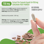 Gokshura Capsules - Tribulus Terrestris - 40% Saponin - Extract Ratio 10:1 - 60 Vege Capsules - 750 mg each