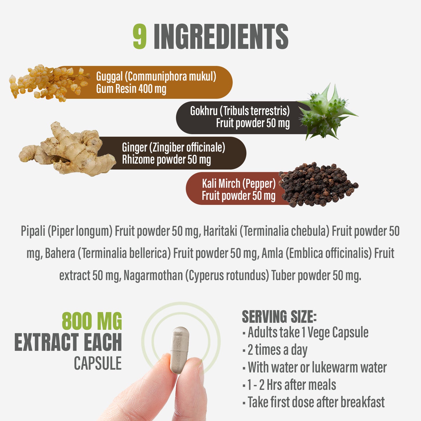 Gokshuradi Guggulu - Ayurvedic Herbal Supplement - 90 Vege Capsules - 800 Mg Each