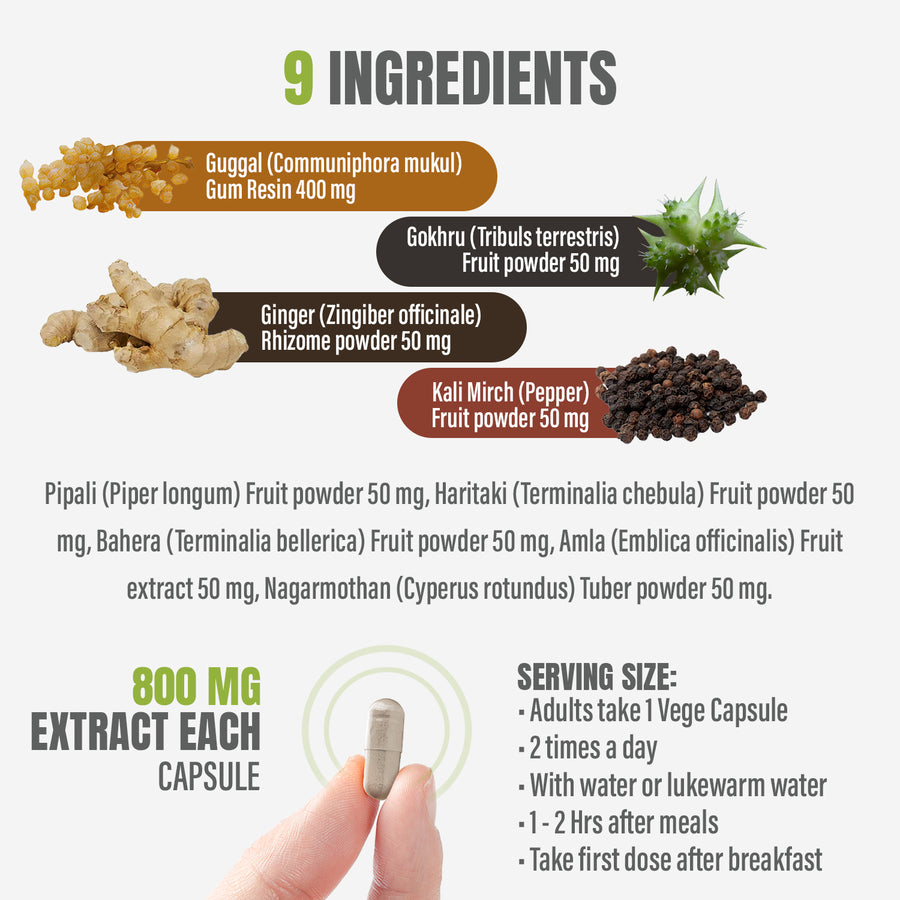 Gokshuradi Guggulu - Ayurvedic Herbal Supplement - 90 Vege Capsules - 800 Mg Each