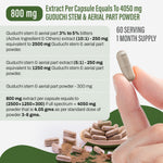 Guduchi Capsules – Tinospora Cordifolia - 3% to 5% bitters - Extract Ratio 10:1 - 60 Vege Capsules - 800 mg each