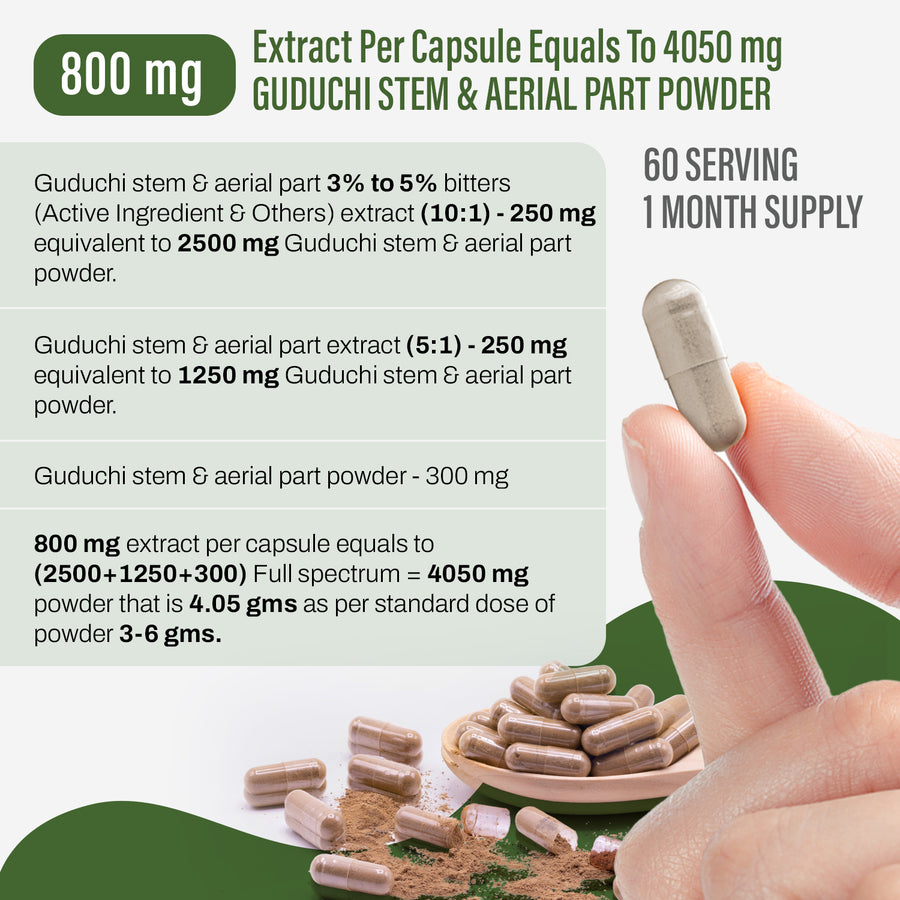 Guduchi Capsules – Tinospora Cordifolia - 3% to 5% bitters - Extract Ratio 10:1 - 60 Vege Capsules - 800 mg each