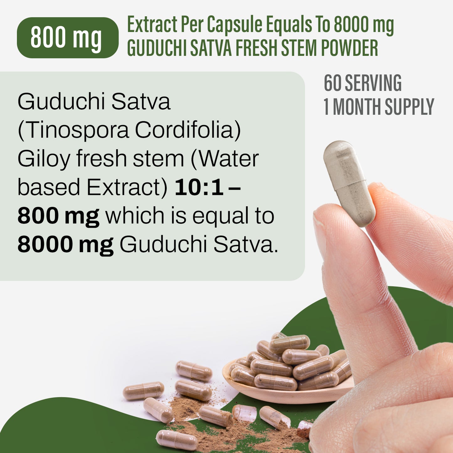 Guduchi Satva Capsules – Tinospora Cordifolia - (Water based Extract) 10:1 - 90 Vege Capsules - 800 mg each