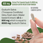 Guduchi Satva Capsules – Tinospora Cordifolia - (Water based Extract) 10:1 - 90 Vege Capsules - 800 mg each