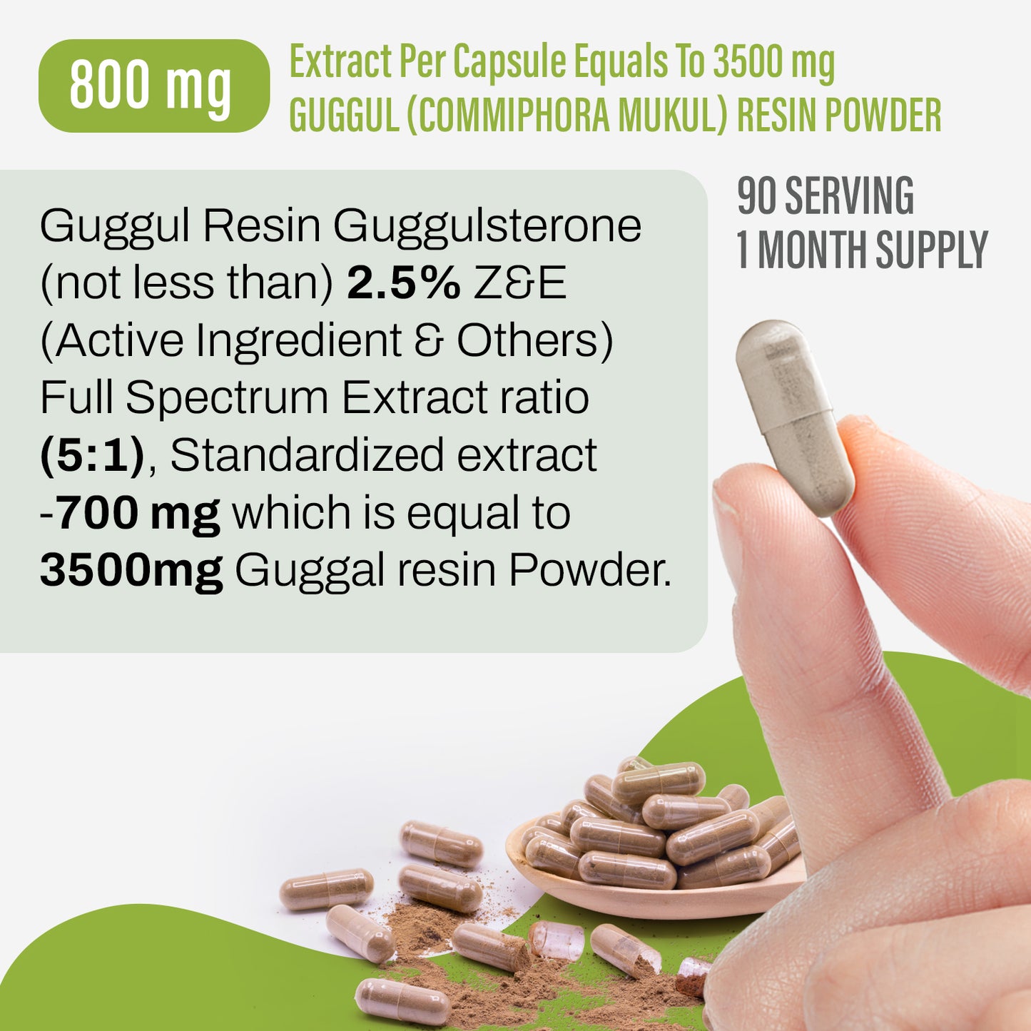 Guggul Resin Capsules – Commiphora Wightii - 2.5% Z+E - Extract Ratio 5:1 - 90 Vege Capsules - 800 mg each