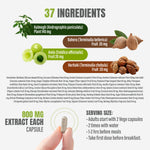 Mahasudarshan Vati - Ayurvedic Herbal Supplement  - 90 Vege Capsules - 800 Mg Each