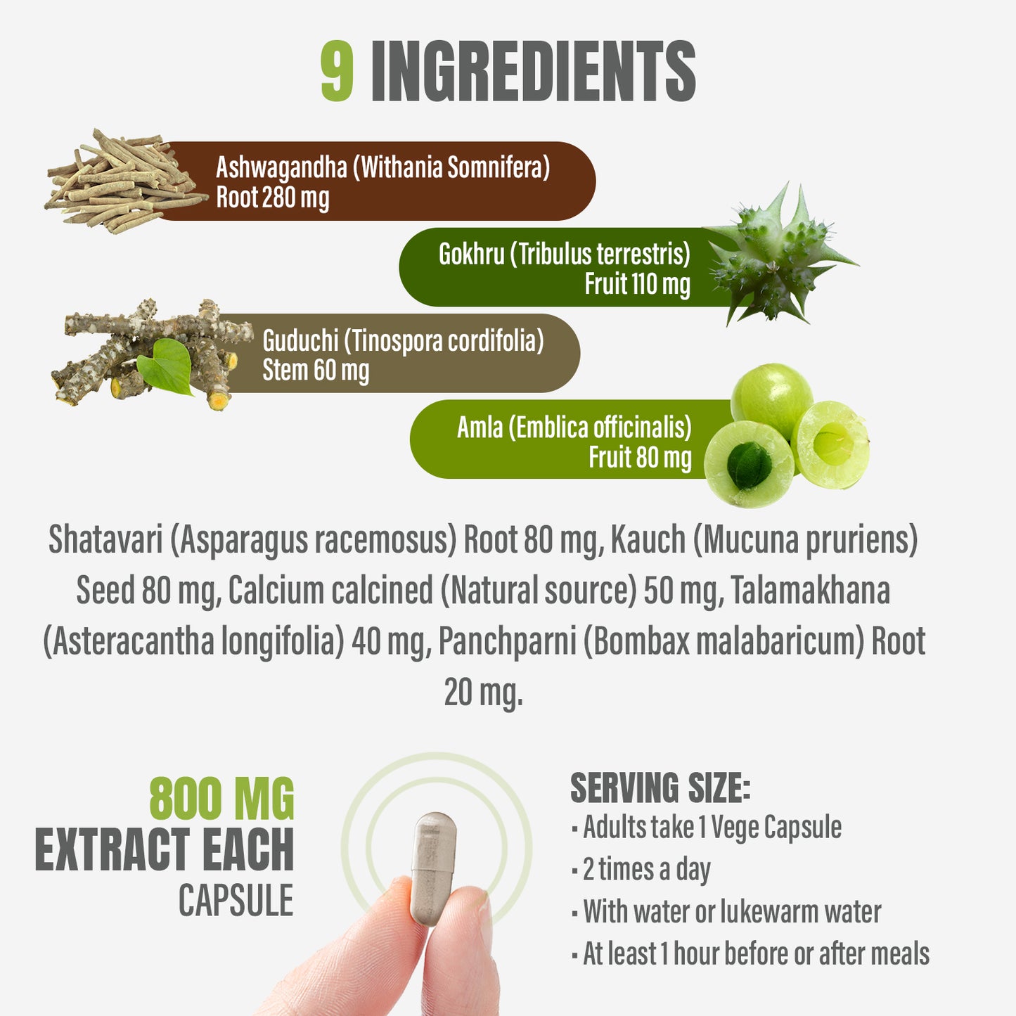 Male Forty Plus Capsules - Ayurvedic Herbal Supplement – 90 Vege Capsules – 800 Mg Each