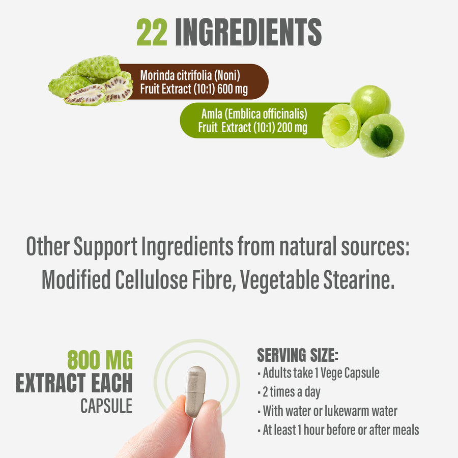 Morinda Plus Capsules - Ayurvedic Herbal Supplement – 90 Vege Capsules – 800 Mg Each
