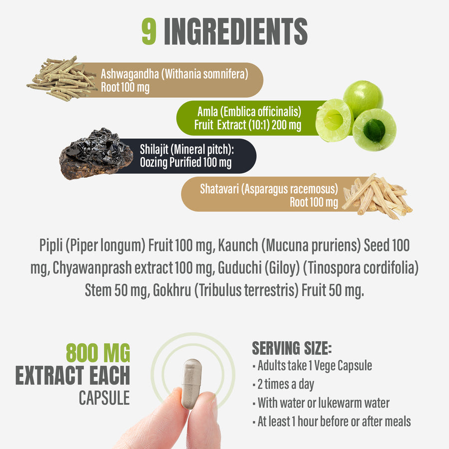 Ojas Care Capsules - Ayurvedic Herbal Supplement – 90 Vege Capsules – 800 Mg Each