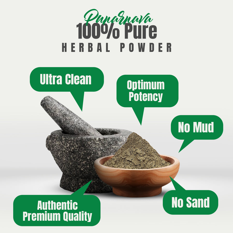 Punarnava Powder (Boerhavia Diffusa) - Non GMO - Vegan - (454 Gms - 1LBS)