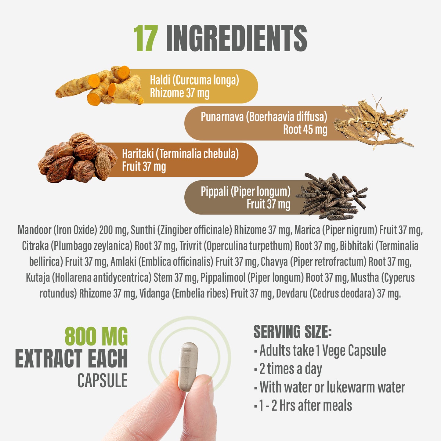 Punarnavadi Mandoor - Ayurvedic Herbal Supplement - 90 Vege Capsules - 800 Mg Each