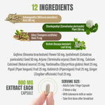 Stress Ez Capsules - Ayurvedic Herbal Supplement – (90 Vege Capsules – 800 Mg Each)