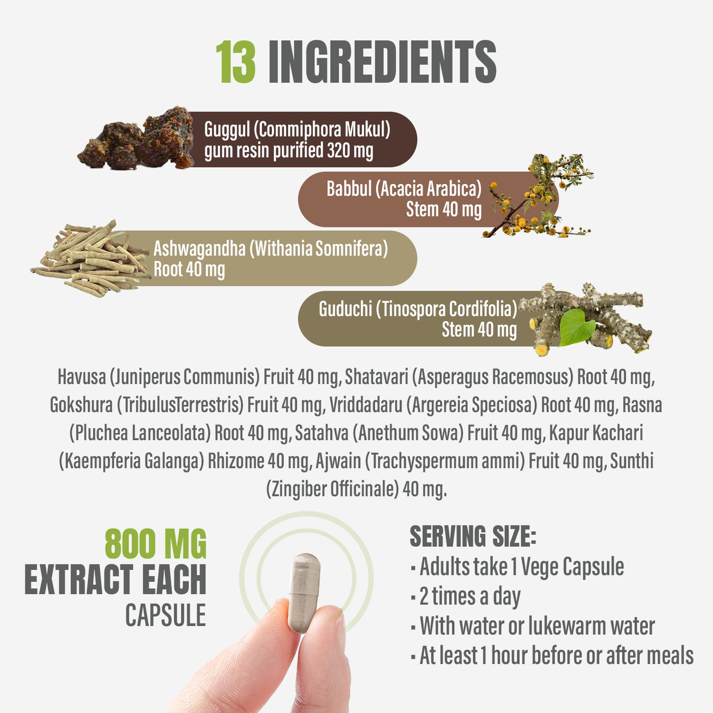 Trayodasanga Guggulu - Ayurvedic Herbal Supplement - 90 Vege Capsules - 800 Mg Each