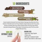 Trayodasanga Guggulu - Ayurvedic Herbal Supplement - 90 Vege Capsules - 800 Mg Each