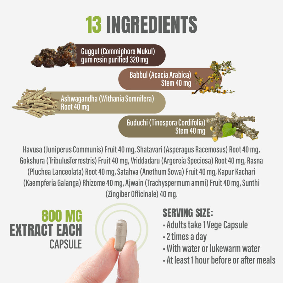 Trayodasanga Guggulu - Ayurvedic Herbal Supplement - 90 Vege Capsules - 800 Mg Each
