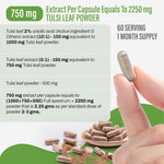 Tulsi Capsules – Ocimum Sanctum - 2% ursolic acid - Extract Ratio 10:1 - 60 Vege Capsules - 750 mg each