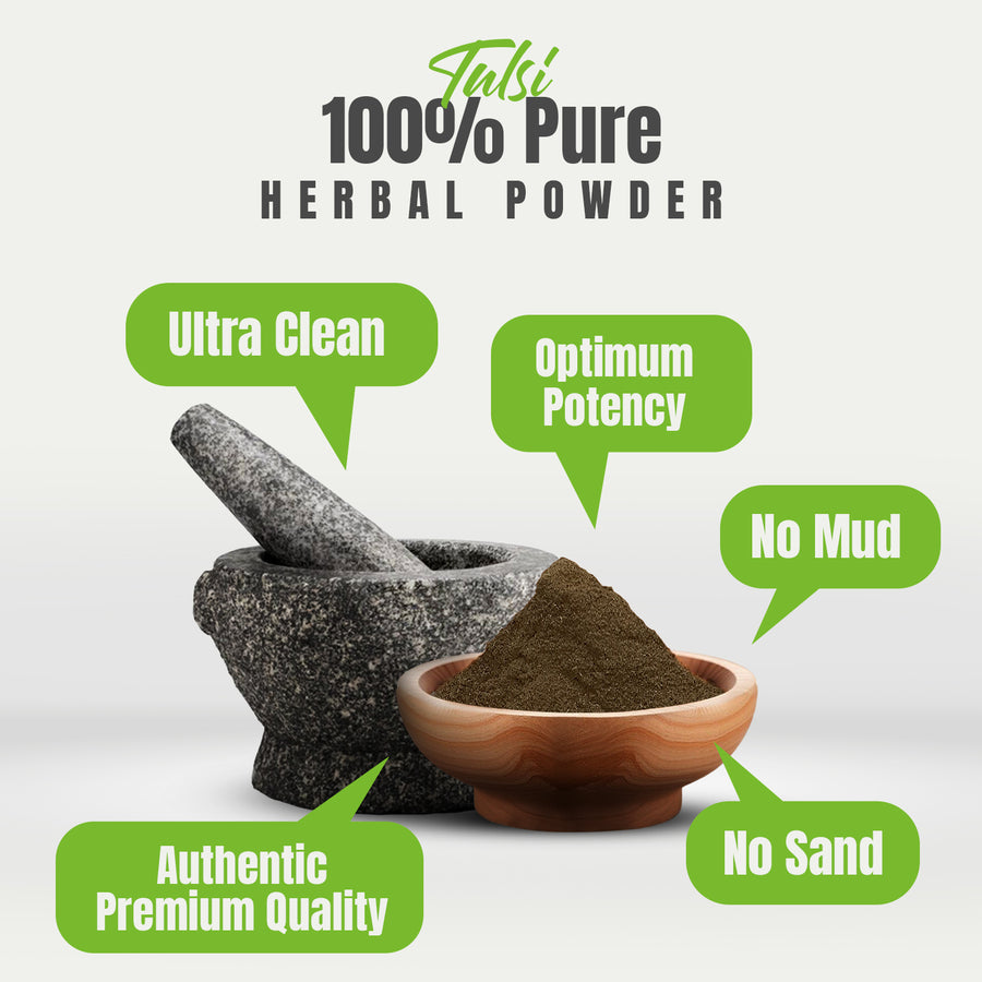 Tulsi Powder (Ocimum Sanctum) - Non GMO - Vegan - (454 Gms - 1LBS)