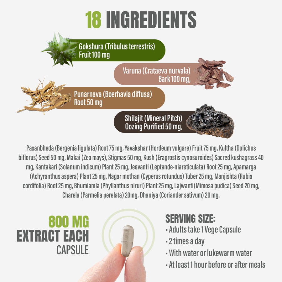 Uri Flush Capsules - Ayurvedic Herbal Supplement – 90 Vege Capsules – 800 Mg Each