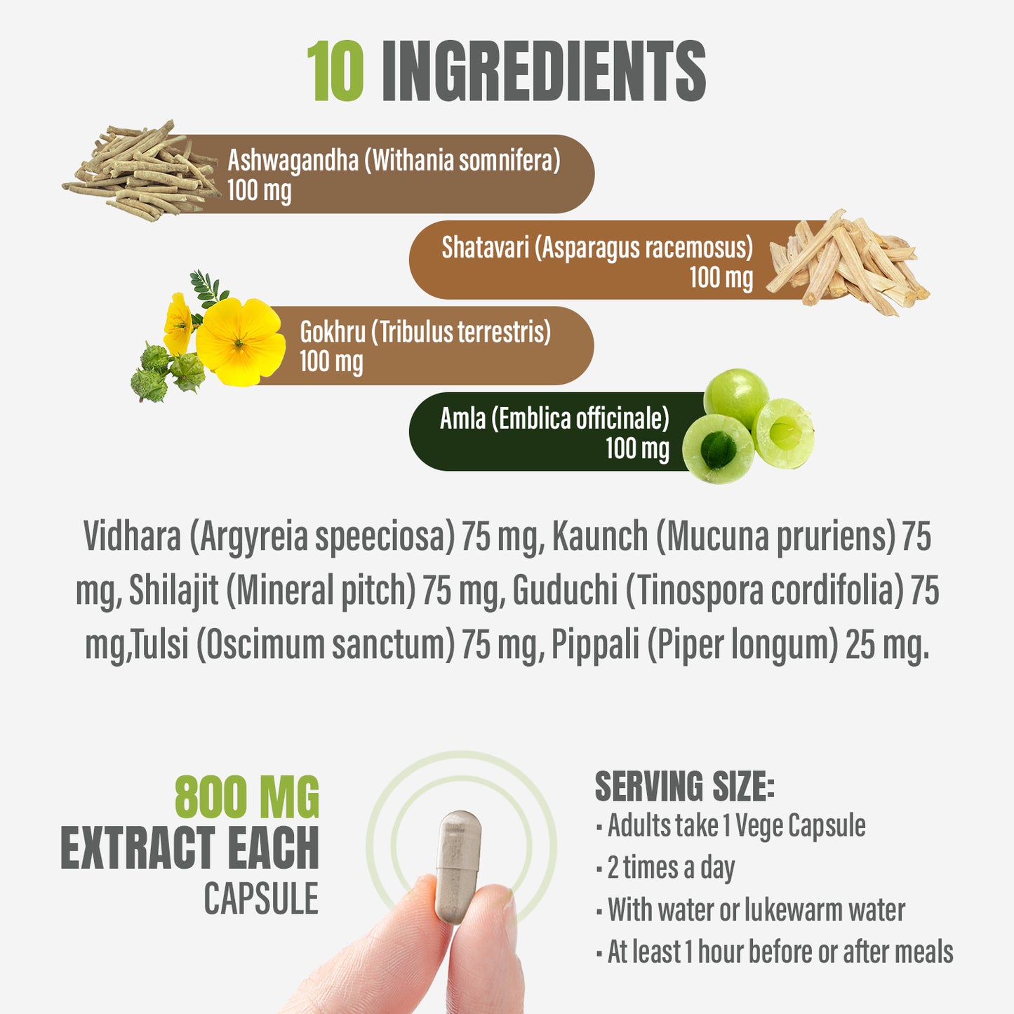 Vitazin Capsules - Ayurvedic Herbal Supplement – 90 Vege Capsules – 800 Mg Each