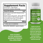Gotu kola Capsules – Centella Asiatica - 20% triterpene - Extract Ratio 10:1 - 60 Vege Capsules - 880 mg each