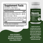 Neem Capsules – Azadirachta Indica - 5% Bitters - Extract Ratio 10:1 - 60 Vege Capsules - 750 mg each