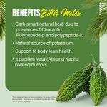 Bitter Melon Capsules (Momordica Charantia) - 5% Bitters - Extract Ratio 10:1 - 60 Vege Capsules - 880 mg each
