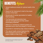Arjuna Capsules - Terminalia Arjuna - 40% Tannins - Extract Ratio 10:1 - 60 Vege Capsules - 850 mg each