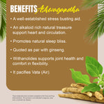 Ashwagandha Capsules – Withania Somnifera - 2% TO 5% Withanoloids, 1% To 1.5 % Alkaloids - Extract Ratio 8:1 -  60 Vege Capsules - 800 mg each