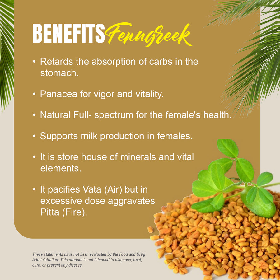 Fenugreek Capsules (Trigonellafoenum Graecum) - 20% Saponins - Extract Ratio 10:1 - 60 Vege Capsules - 800 mg each