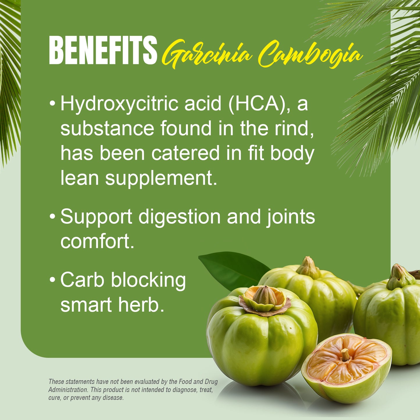 Garcinia Capsules - Garcinia cambogia - 60% HCA - Extract Ratio 5:1 - 90 Vege Capsules - 650 mg each