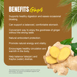 Ginger Capsules - ZingiberOfficinale - 1.5% Gingerols - Extract Ratio 6:1 - 90 Vege Capsules - 700 mg each