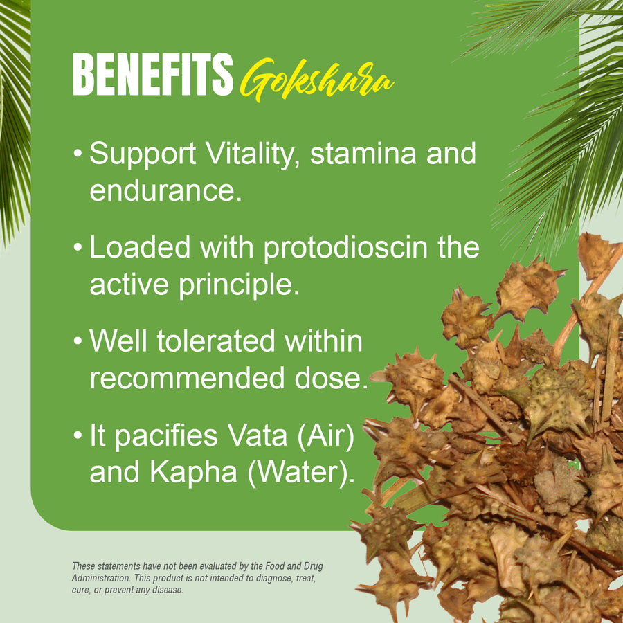 Gokshura Capsules - Tribulus Terrestris - 40% Saponin - Extract Ratio 10:1 - 60 Vege Capsules - 750 mg each