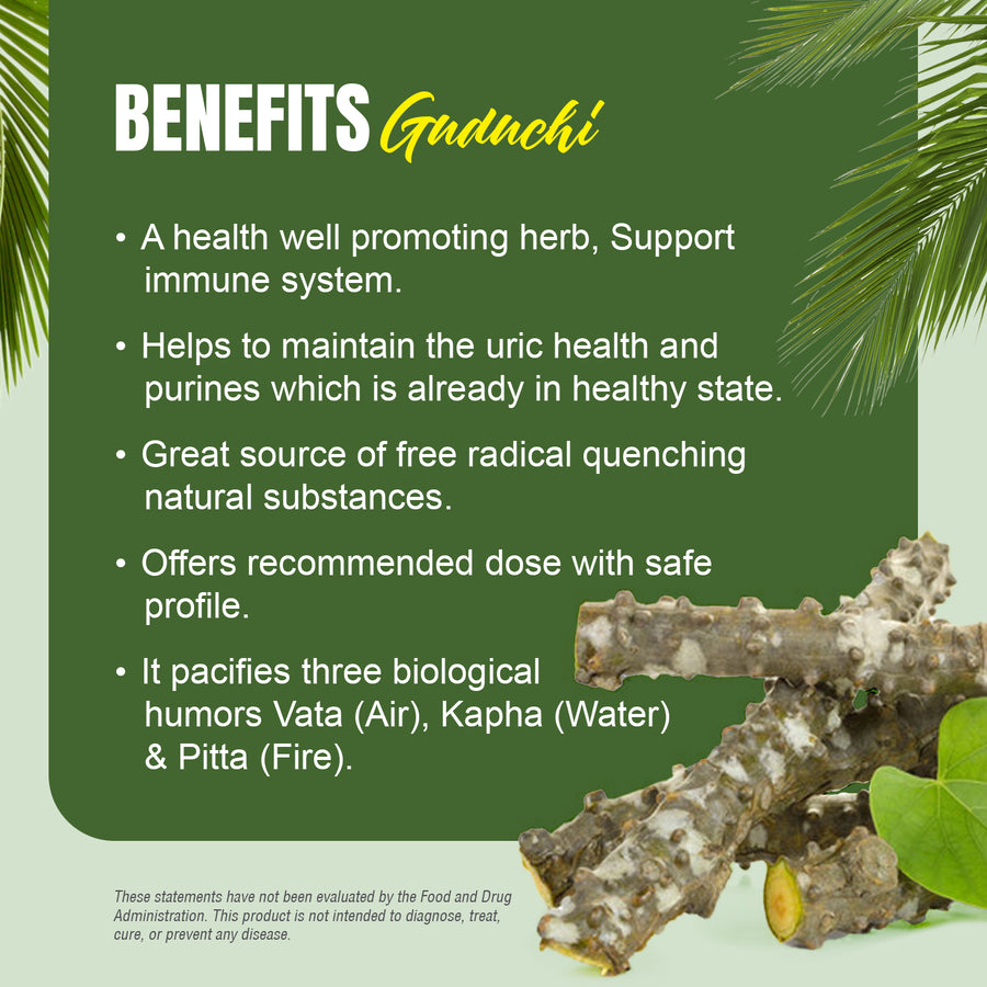 Guduchi Capsules – Tinospora Cordifolia - 3% to 5% bitters - Extract Ratio 10:1 - 60 Vege Capsules - 800 mg each