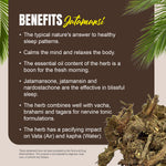 Jatamansi Capsules – Nardostachys Jatamansi - 2% to 2.5% Jatamansone - Extract Ratio 6:1 - 60 Vege Capsules - 800 mg each