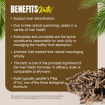 Kutki Capsules - Picrohiza Kurroa - 7% Kutkin - Extract Ratio 5:1 - 60 Vege Capsules - 800 mg each