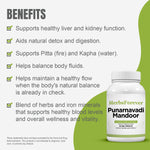 Punarnavadi Mandoor - Ayurvedic Herbal Supplement - 90 Vege Capsules - 800 Mg Each