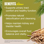 Varuna Capsules - Vegan & Gluten Free - Plant Based Supplement - 60 Vege Capsules - 800 Mg Each