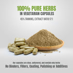 Amla Capsules - Embelica Officinalis - 45% Tannins - Extract Ratio 10:1 - 60 Vege Capsules - 950 mg each