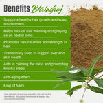 Bhringaraj Powder (Eclipta Alba) – Non GMO – Vegan – (454 Gms – 1LBS)