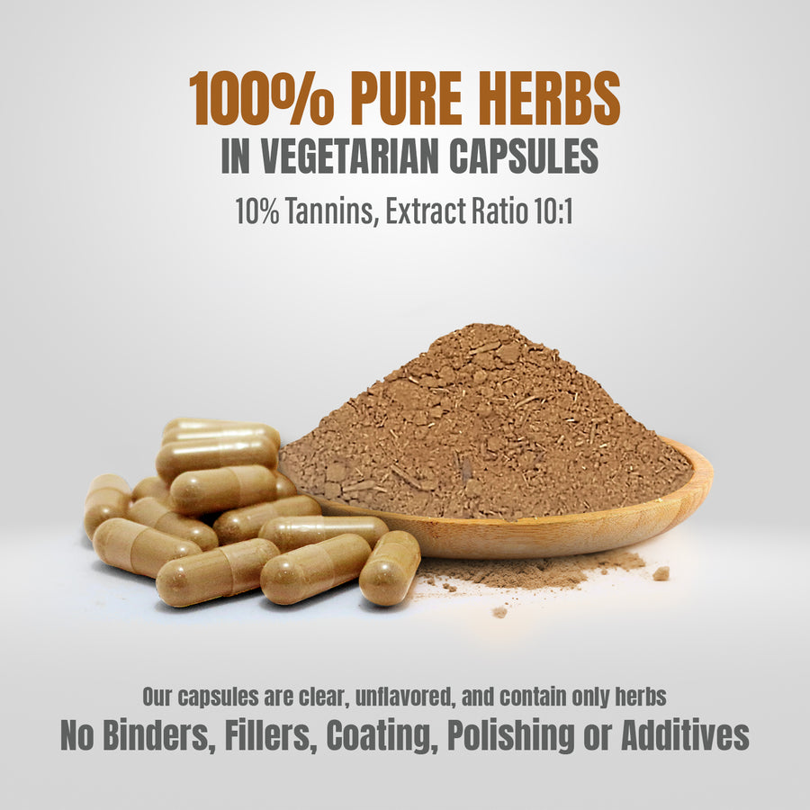 Bijasar Capsules - Pterocarpus Marsupium - 10% Tannins - Extract Ratio 10:1 - 60 Vege Capsules - 750 mg each