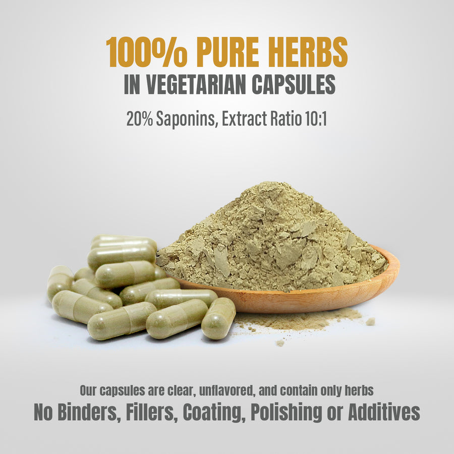 Fenugreek Capsules (Trigonellafoenum Graecum) - 20% Saponins - Extract Ratio 10:1 - 60 Vege Capsules - 800 mg each