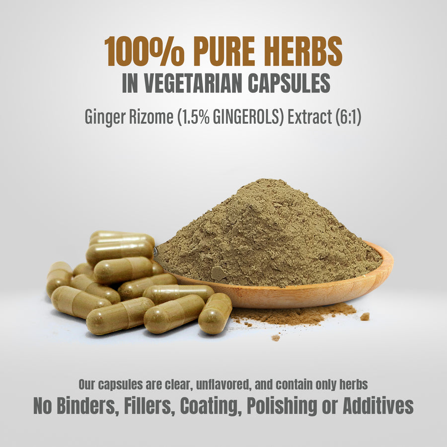 Ginger Capsules - ZingiberOfficinale - 1.5% Gingerols - Extract Ratio 6:1 - 90 Vege Capsules - 700 mg each