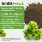 Gokshura Powder (Tribulus Terrestris) - Non GMO - Vegan - (454Gms - 1LBS)